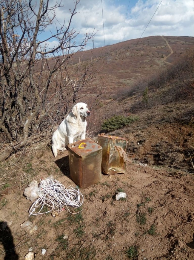 Bitlis'te terör operasyonu